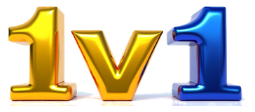 1v1